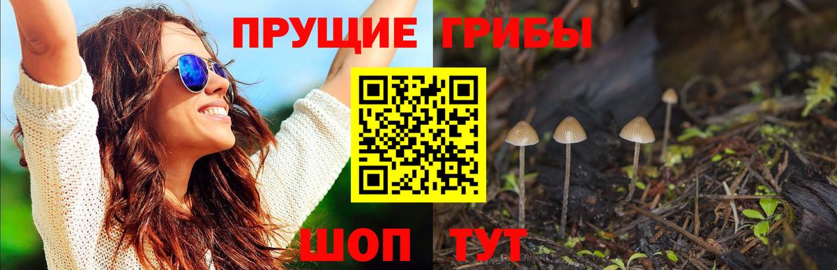 цена   Вход с VPN  Гатчина  Псилоцибиновые грибы Psilocybine cubensis  Галлюциногенные грибы мицелий 
