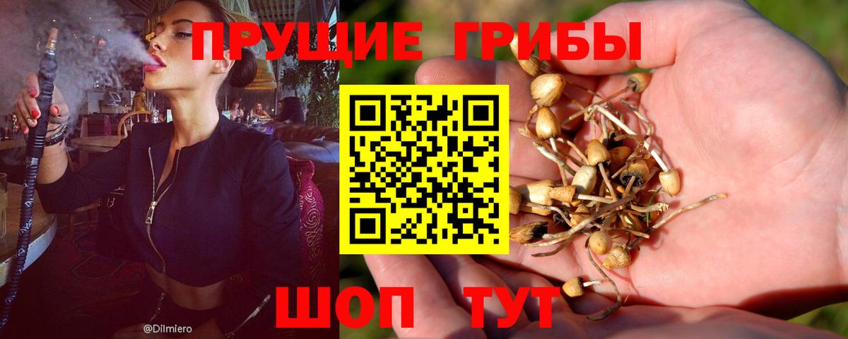Псилоцибиновые грибы Magic Shrooms Гатчина
